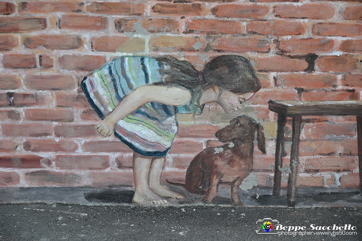 VBS_3677 - Fontanile (Asti) - Murales di Luigi Amerio.jpg